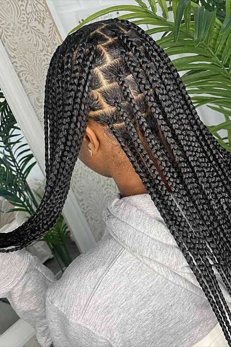 Medium Knotless Braids (Classic)